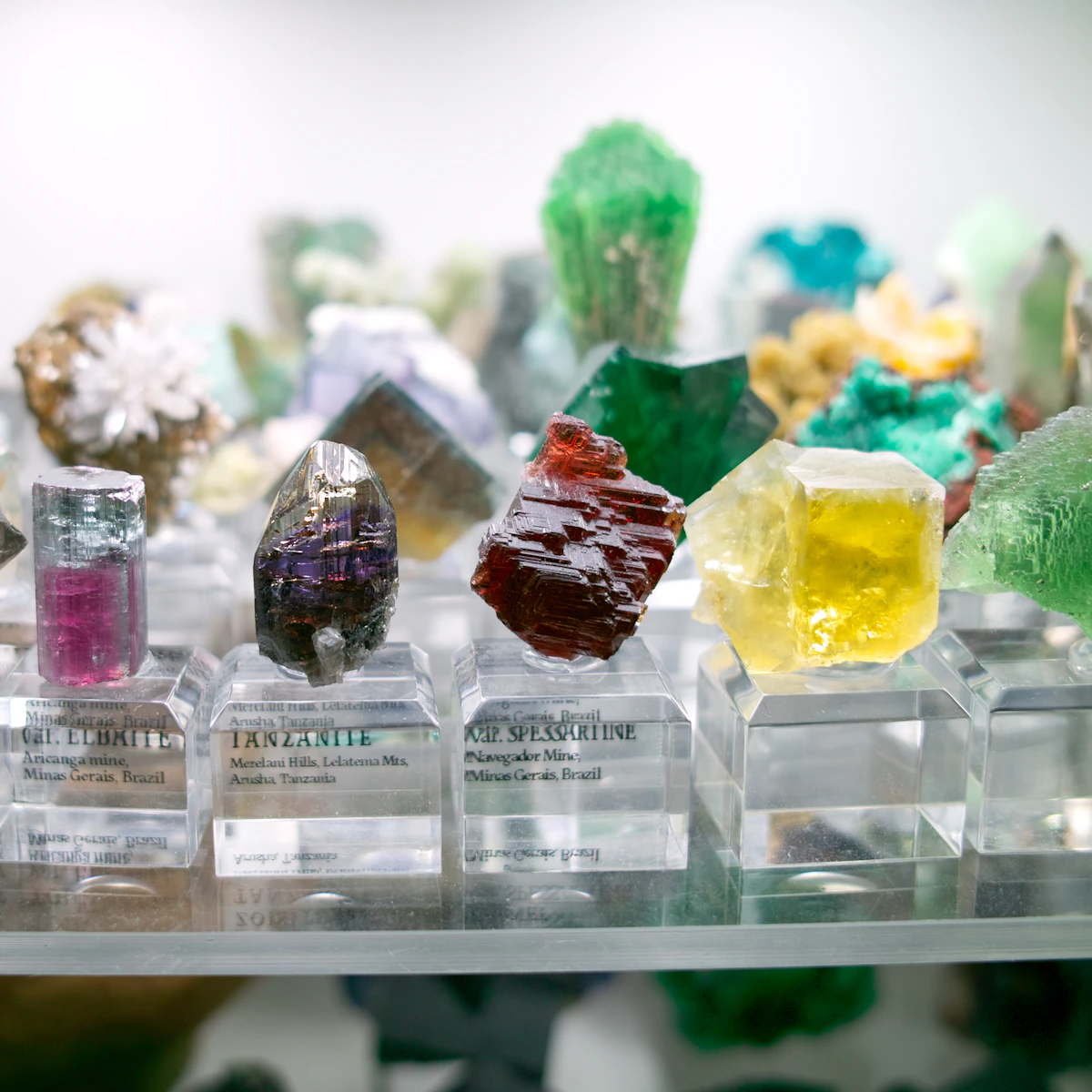 Cristais brutos de turmalina, tanzanita, granada e outros minerais expostos em bases de acrílico